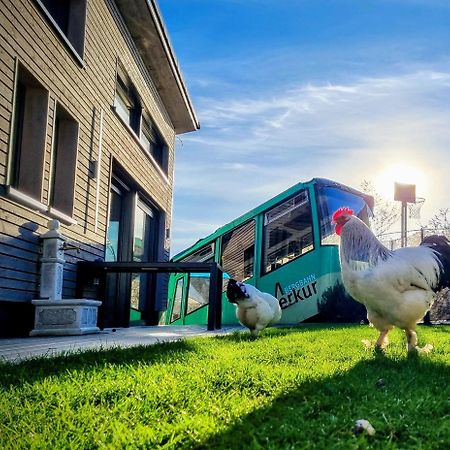 Willa Exklusives Holzhaus Mit Bergbahn - Baden-Baden Im Schwarzwald Zewnętrze zdjęcie