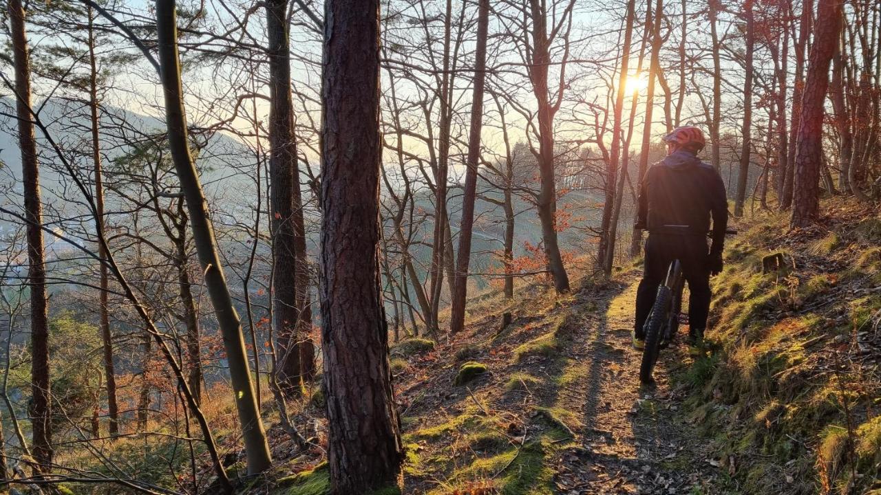 Willa Exklusives Holzhaus Mit Bergbahn - Baden-Baden Im Schwarzwald Zewnętrze zdjęcie